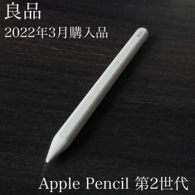 良品 正常動作品 Apple Pencil 第2世代 MU8F2J/A r6