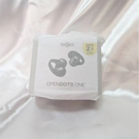Shokz OpenDots ONE SKZ-EP-000054（ブラック）