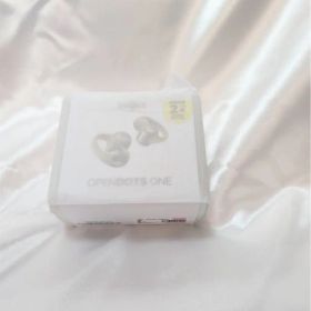 Shokz OpenDots ONE SKZ-EP-000054（グレー）
