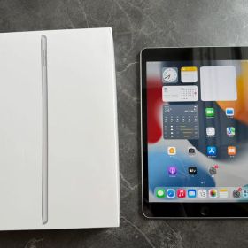 【極美品】iPad（第9世代） Wi-Fiモデル 256GB [シルバー]