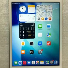 訳品 iPad mini（第5世代/2019） 64GB ゴールド SIMフリー