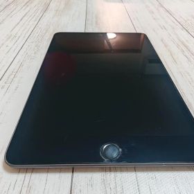 【傷・表示不良あり】iPad mini 第5世代 64GB Wi-Fiモデル