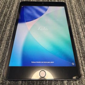iPad mini 第5世代 256GB Wi-Fi+ Cellular