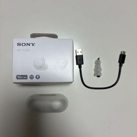 WF-C500 SONY ワイヤレスイヤホン