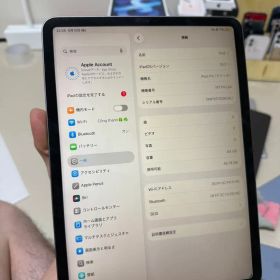 Apple iPad Pro 11インチ 本体