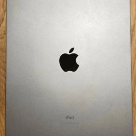 ★iPad Pro 256GB 11インチ 第一世代 Wi-Fi 美品 オマケ付