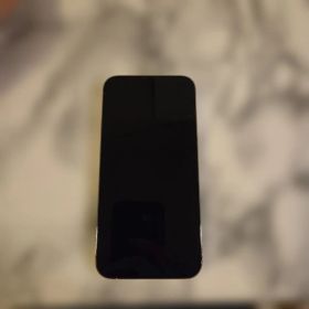 Apple iPhone 14 Pro 本体