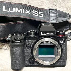 Panasonic LUMIX DC-S5【シャッター数2179回 極美品】