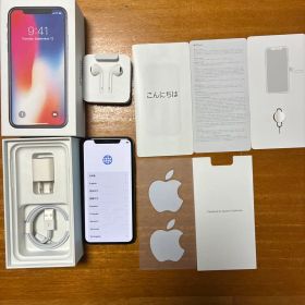 Apple iPhone X グレイ本体と付属品