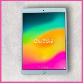 iPad Pro 10.5インチ 256GB 本体 シルバー