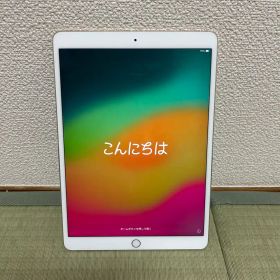 iPad Pro 10.5 512GBローズゴールド Wi-Fiモデル