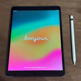 バッテリー86%純正タッチペン付きiPad Pro 10.5 256GBセルラー