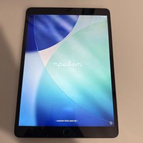 iPad Air 第3世代 本体 256GB Wi-Fiモデル アップルペンシル