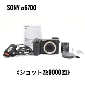 【極美品】ソニー SONY α6700 ミラーレス一眼カメラ ブラック