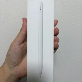 【美品】Apple Pencil 本体 USB-C