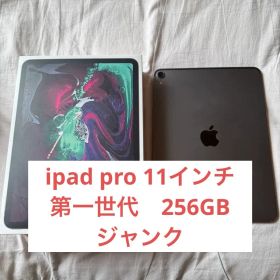 Apple iPad pro 11インチ 第一世代 256gb