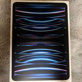 iPad Pro 第4世代 11インチ wifiモデル