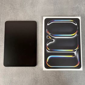 Apple 11インチ iPad Pro (M4) Wi-Fi 本体