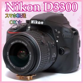⭐️ショット数極少⭐️Nikon D3300 ニコン デジタル一眼レフ カメラ