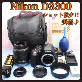 ニコン D3300✨美品＆S数少✨一眼レフカメラ✨バッグ付✨初心者向け入門機