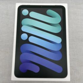 【中古】【WiFiモデル】○iPad mini(A17 Pro) WiFi 256GB(iPad mini 8.3第7世代)(スペースグレイ)[91]