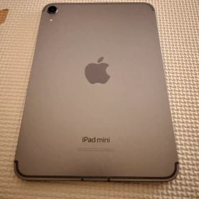 Apple iPad mini (A17 Pro) SIMフリー スペースグレイ