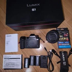 超美品 Panasonic LUMIX S1 標準ズームレンズセット
