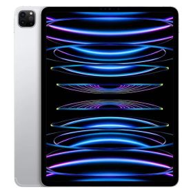 iPad Pro 第6世代 128GB Applepencil 第2世代 付属