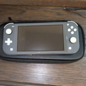 Nintendo Switch Lite グレー ／ ケース、 sdカード付