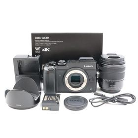 シャッター数13978枚 Panasonic LUMIX GX8 高倍率ズームレンズキット DMC-GX8H-K ミラーレス一眼カメラ