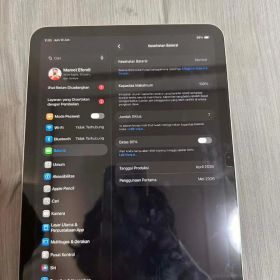 Apple iPad A16 本体 スターライト