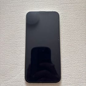 Apple iPhone 13 本体