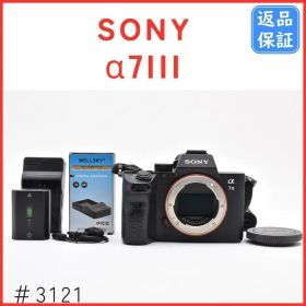 ソニー SONY α7 III ILCE-7M3 ミラーレスカメラ 動作良好