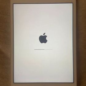 Apple iPad mini 4ゴールド celular モデル 32GB