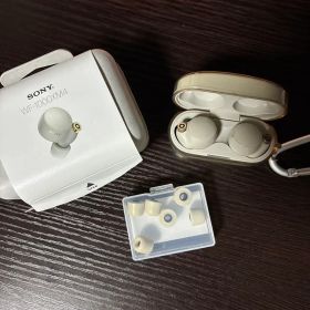 SONY WF-1000XM4