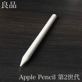 良品 正常動作品 Apple Pencil 第2世代 MU8F2J/A r5