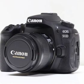 ⭐️(動作品・美品)Canon EOS 90D