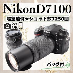ショット回数7250回✨Nikon D7100 ダブルレンズ スマホ転送 初心者