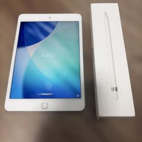 iPad mini5 256GB セルラー/WiFi Apple pencil
