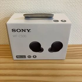 SONY WF-C500 ブラック ワイヤレスイヤホン 動作確認済み