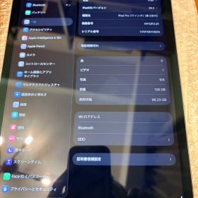 Apple iPad Pro 11インチ 第3世代 本体