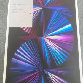 Apple 11インチ iPad Pro 第3世代 256GB 本体