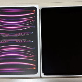 iPadPro11インチ第4世代 256GB Wi-Fi バッテリー91% 美品