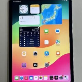 iPad Pro11インチ 第3世代（M1）Wi-Fi + Cellular美品