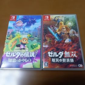ゼルダの伝説 知恵のかりもの ゼルダ無双 厄災の黙示録 2本セット