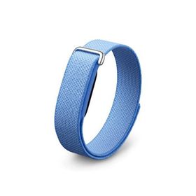 『新品』Google (グーグル) Fitbit Air GA11014-AU [Lavender]