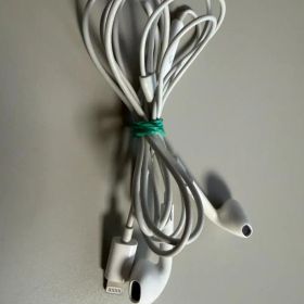 Apple EarPods with Lightning Connector