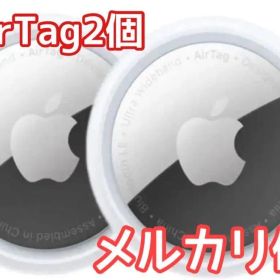 Apple AirTag エアタグ本体 2個セット アップルエアタグ 新品未使用