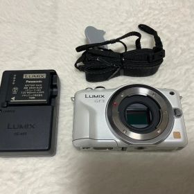 Panasonic LUMIX GF3 ボディ 充電器付 動作品