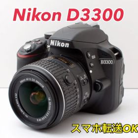 S数約2300回！Nikon D3300★転送OK★超初心者向け★すぐ使える